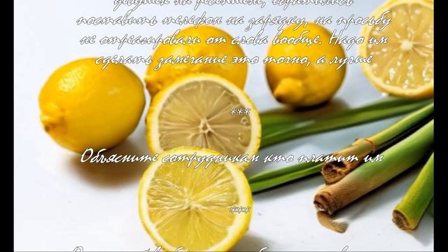 Всная турецкая кухня: что стоит попробовать в ресторане.