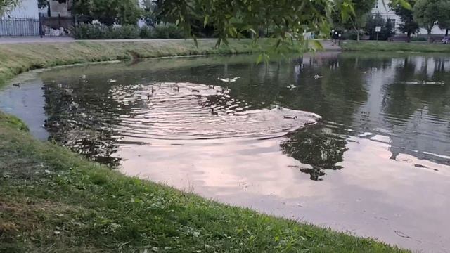 Кострома 2024. последние деньки смотреть онлайн