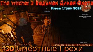 The Witcher 3 Ведьмак Дикая Охота Stream стрим 2025 Полное прохождение #30 Геральд Смертные Грехи