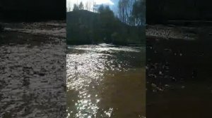 Вехикросс офф роад 2024