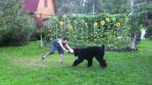 Эмир и Саша, Дача, 2012г