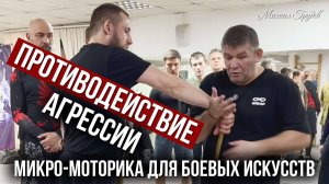 Противодействие агрессии, боевые рефлексы, микро-моторика в боевом искусстве. Михаил Грудев. ИЗВОР