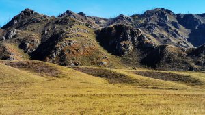 Алтай. Гуггл карта напротив Ороктойского моста участок 10 соток с деревьями - лучший объект