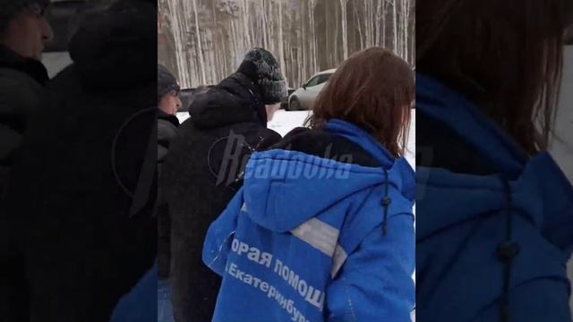В Екатеринбурге идет стычка между лесорубами и экоактивистами за местную рощу — уже дошло до драки