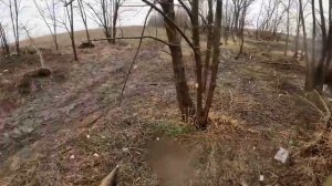 Наши братишки стервятничают