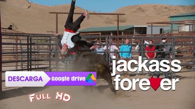 Descargar Jackass Forever Full HD Español Latino (Link Directo) [Google Drive] смотреть онлайн