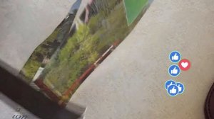 №202 Пчак своими руками.