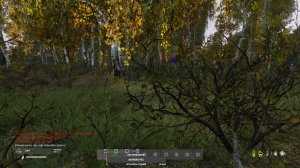 Выживание в Dayz