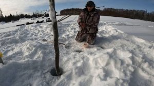 ГОРНАЯ РЫБАЛКА - Бешеный утренний клев больших ленков. Зимняя рыбалка на дальнем Востоке.