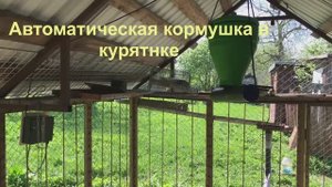 Автоматическая шнековая кормушка для курятников российского производства