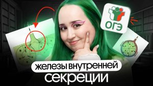 💪 ЖЕЛЕЗЫ ВНУТРЕННЕЙ СЕКРЕЦИИ | ОГЭ по биологии 2025