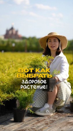 НИКОГДА НЕ выбирайте растения без этих советов