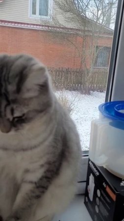 Взвеситься и сбросить