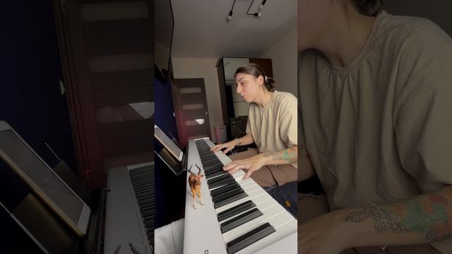 Саша Мостовая - антилопа смотреть онлайн