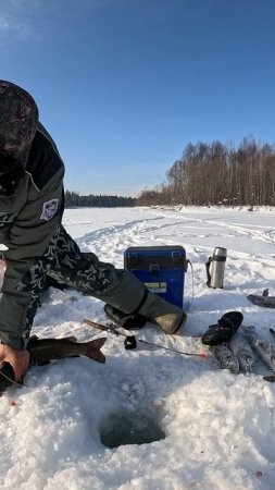 Только закинул! Горная рыбалка