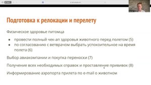 Переезд с кошками на Кипр. Всё, что нужно знать для перевозки животных