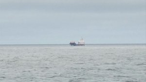 Украинские спецслужбы готовят провокацию с подрывом иностранного судна в Балтийском море