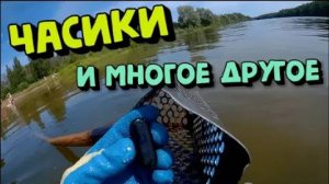 КОПаем пляжи в поисках ЗОЛОТА Поиск с металлоискателем
