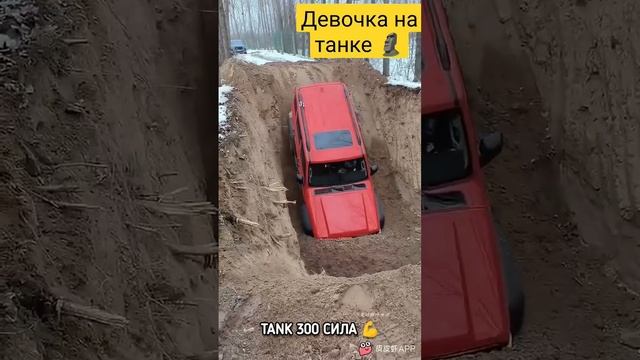 Девочка на Танке 300