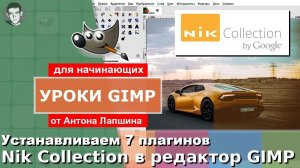 Как установить плагины Nik Collection в фоторедактор GIMP?