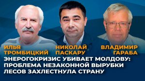 Энергокризис в Молдове: незаконная вырубка лесов захлестнула страну