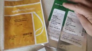 Сорта профсемян петунии, которые я высаживаю на рассаду. Выборка серий по опыту в 12 лет!