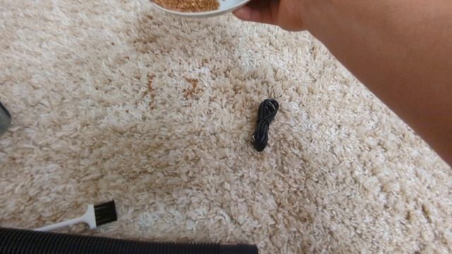 Убийца грязи ХО-1