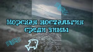 Морская ностальгия среди зимы 🐟🐬🌊