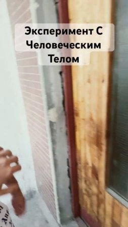 Невероятный эксперимент