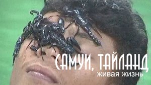 САМУИ, ТАЙЛАНД