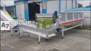 Ромашка: Линия отделения цветков ромашки #ромашка #сушка