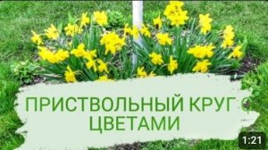 ПРИСТВОЛЬНЫЙ КРУГ С ЦВЕТАМИ. 13.04.2023г.