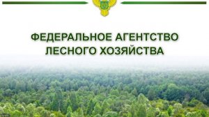 Рослесхоз. Вебинар по работе во ФГИС ЛК для лесопользователей 10.02.2025