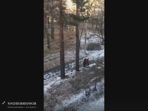 Голубиная погоня, ч 1