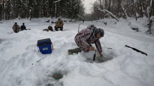 ГОРНАЯ РЫБАЛКА НА Электронную удочку Спутник. Как ловить на электронную удочку. Клев рыбы.