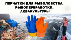 Защита рук в рыбной промышленности. Обзор перчаток от компании Петроканат