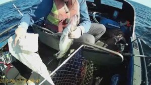 ОНЕЖСКОЕ ОЗЕРО АВГУСТ 2019 ТРОЛЛИНГ + рыбки под водой )