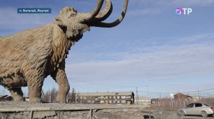 Северный завоз. Чтобы жить и работать