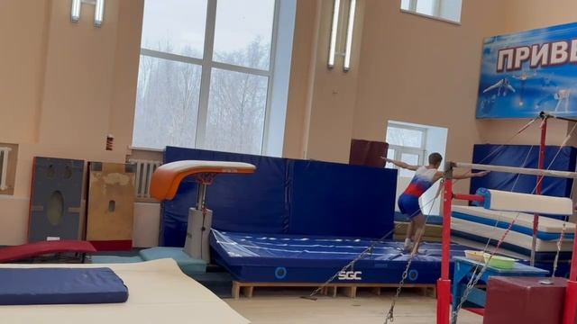 Чемпионат и первенство Омской области по спортивной гимнастике (мужчины, юниоры, юноши).