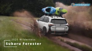 Новый Subaru Forester 2025 Wilderness