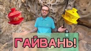 Как правильно пользоваться Гайванью