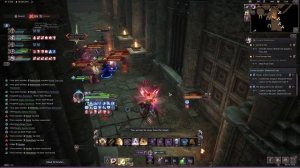 Throne and Liberty PvP Shadowed Crypt Гильдия Siberian Squad