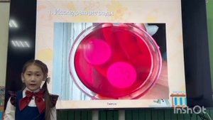 Потапова Ай Куо. Невидимые друзья и враги человечества