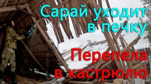 Жизнь в деревне. Едим перепелов, сжигаем сарай. Секрет Ксюшиного пирога.