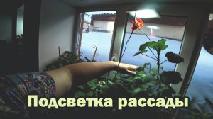 Досветка рассады. Какие лампы купить?