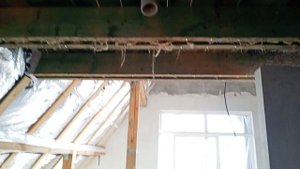 VID20250209120523.mp4