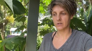 Как мы построили нашу новую жизнь в Коста-Рике?