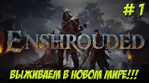 Enshrouded. Часть 1. Хочу быть МААААААГОООООМ!