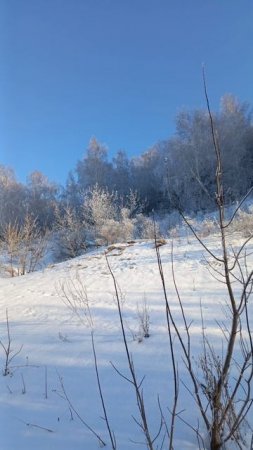 гора Юрактау
