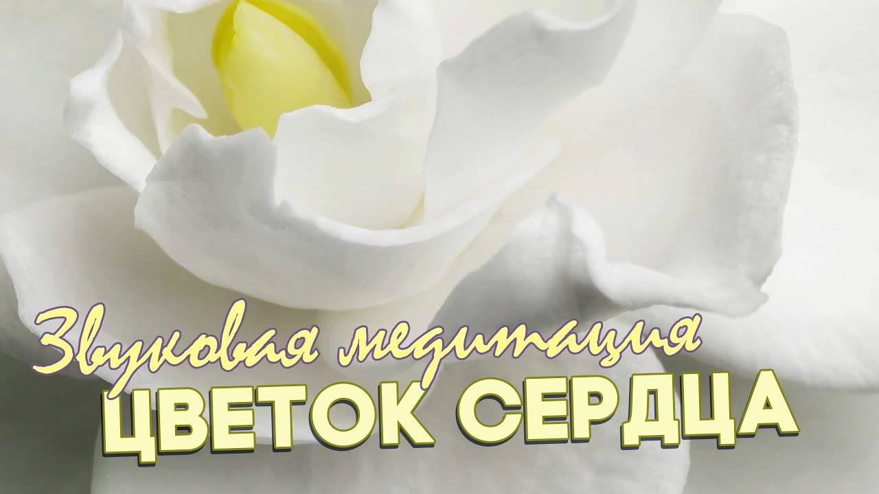 Звуковая медитация на раскрытие сердца. Цветок Сердца